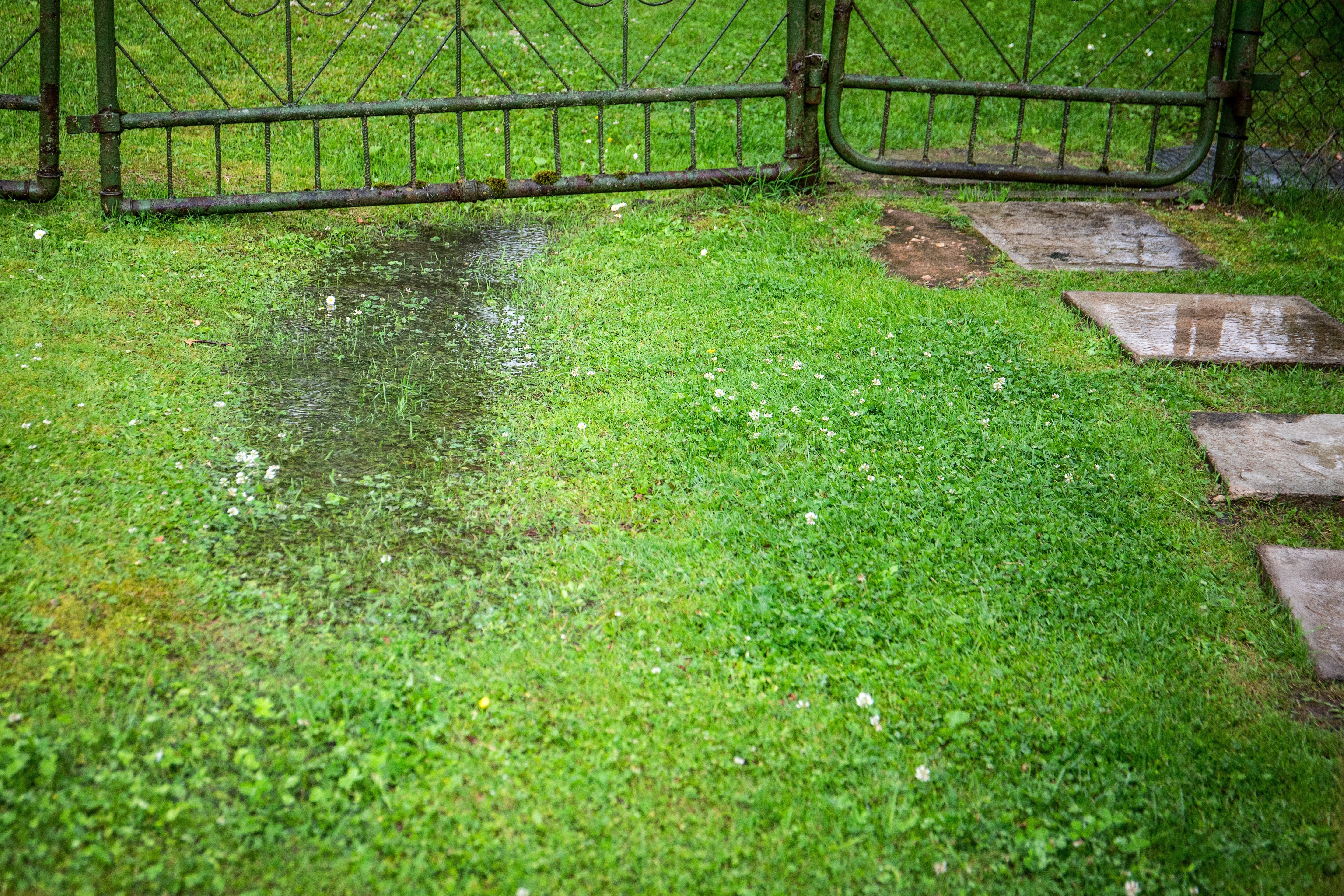 Simple Ways to Improve Backyard Drainage