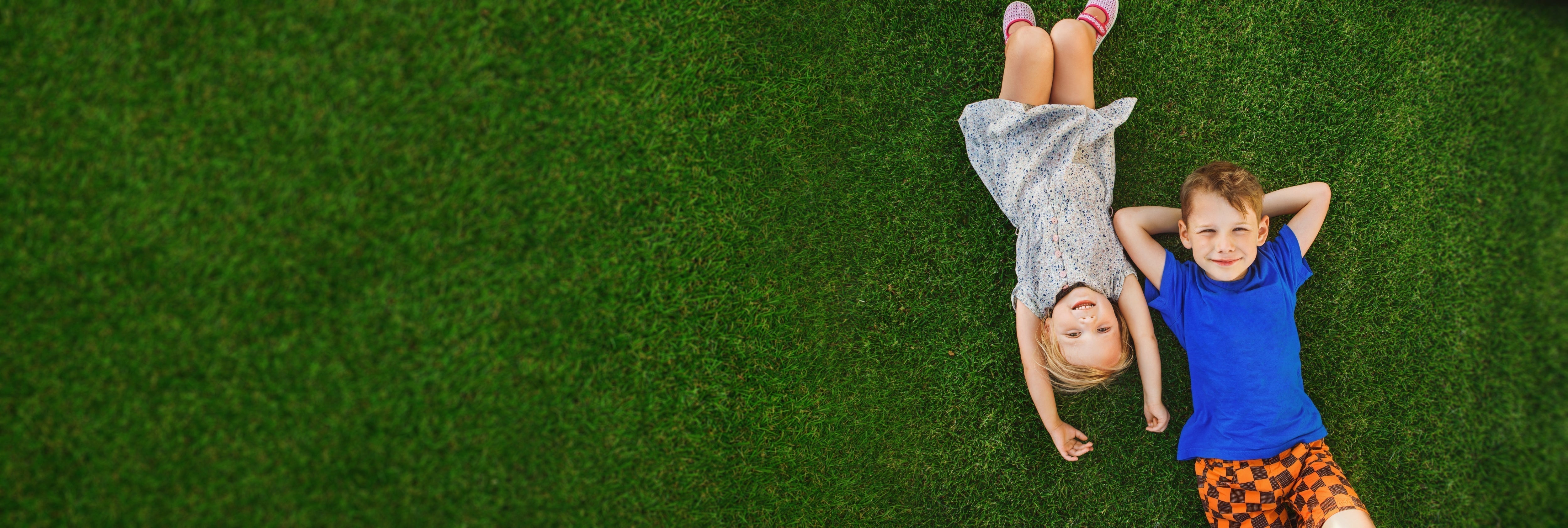 What Is the Best Grass for My Yard? A Homeowner's Guide to Choosing the Right Lawn